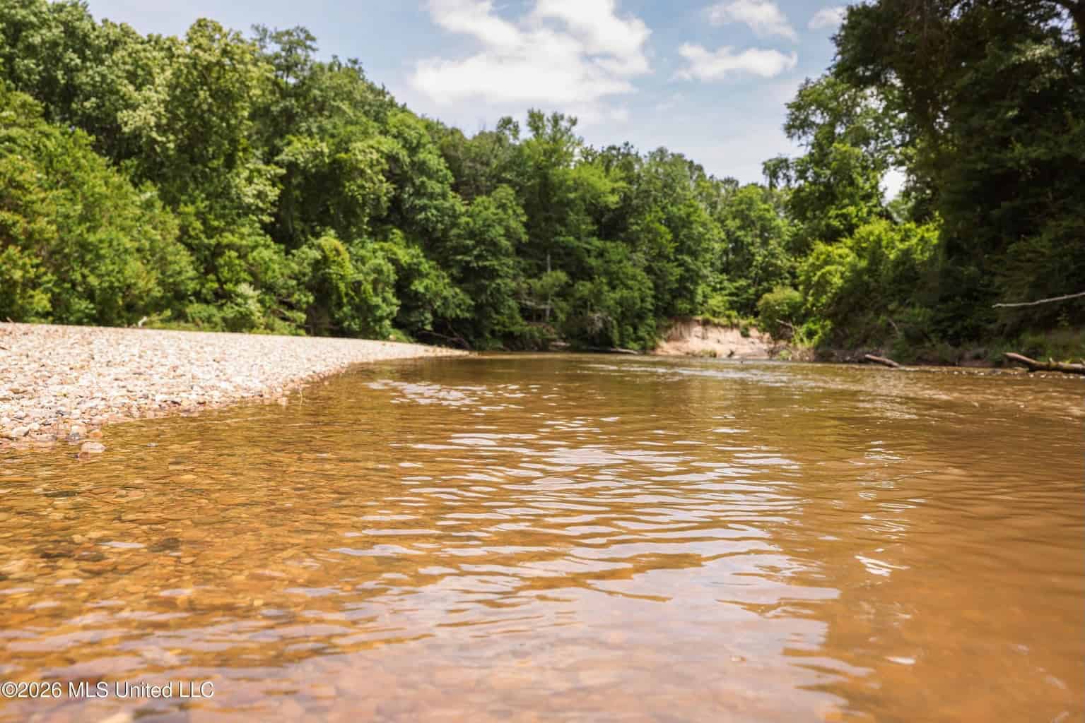 108+- Acres on the Bogue Chitto River Summit, Mississippi