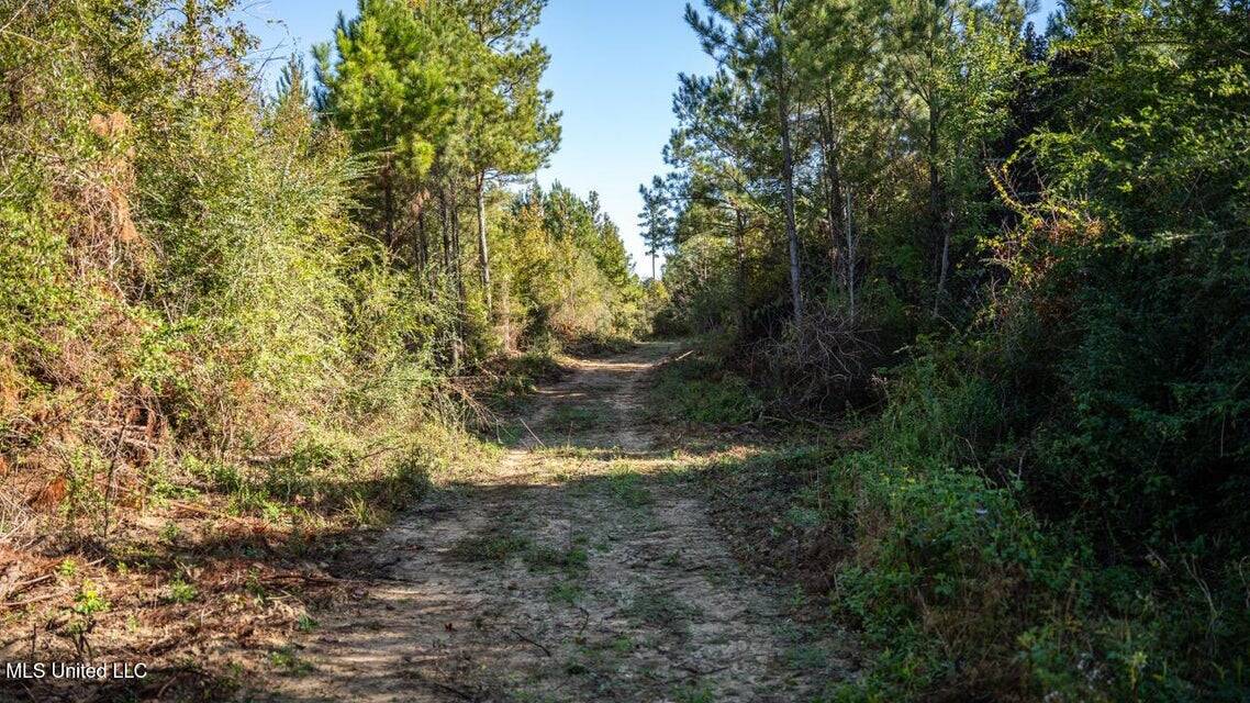 113 Acres of Hunting Land in Liberty, Mississippi