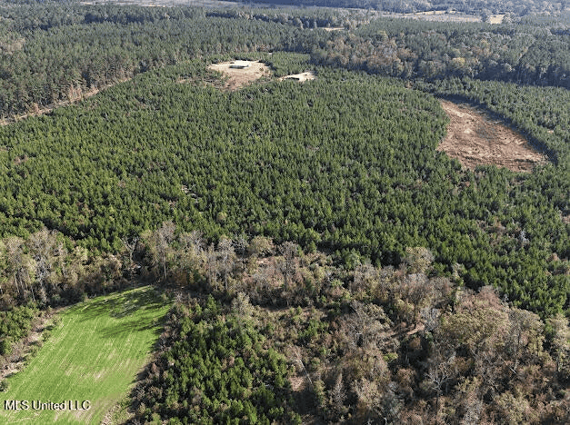 Country Home For Sale in Amite County, MS