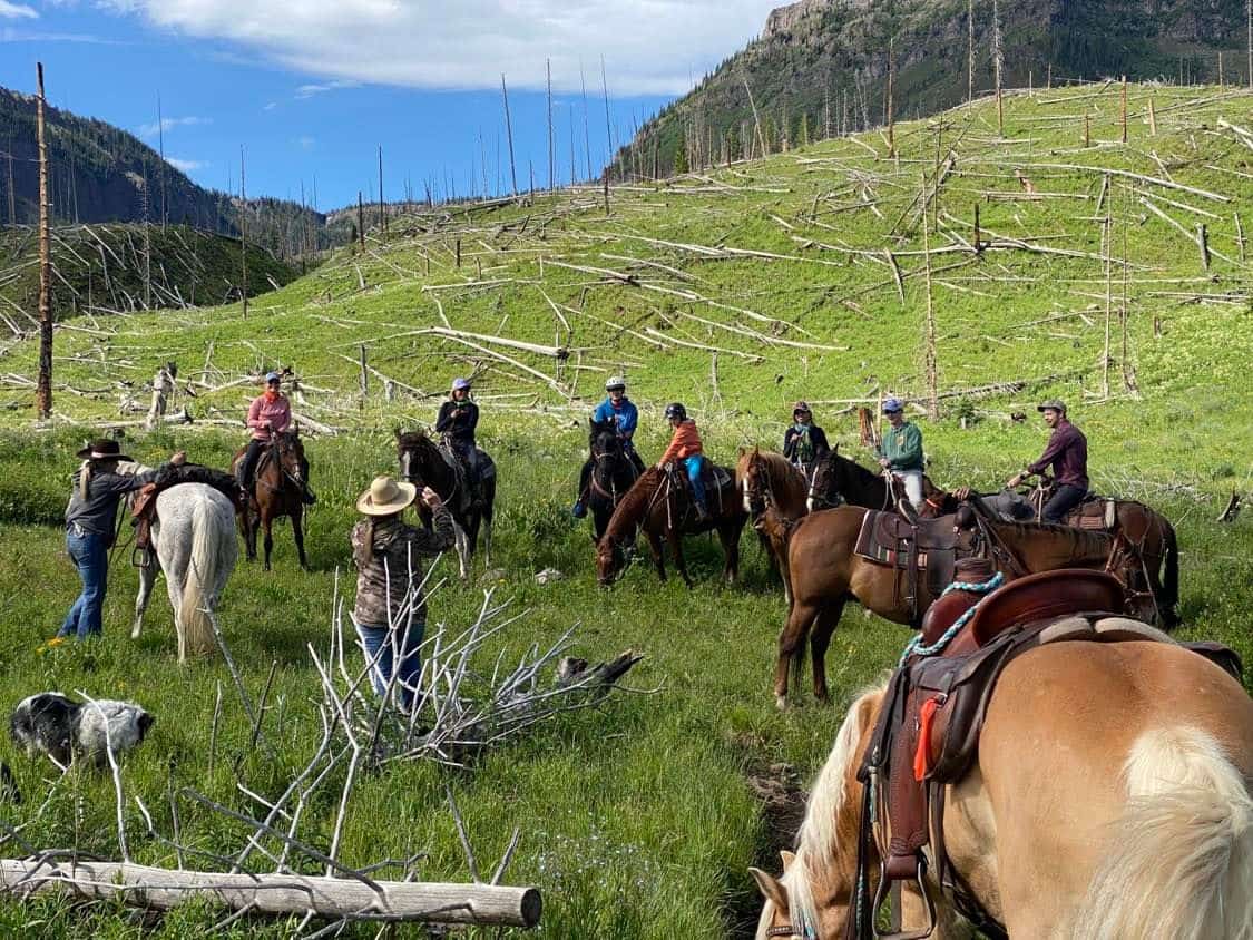 Premier Colorado Wilderness Lodge & Big Game Outfitter for Sale