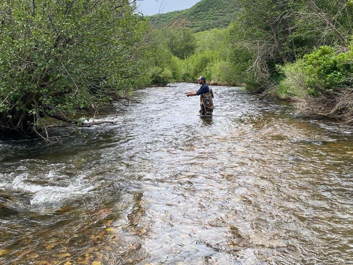 Premier Colorado Wilderness Lodge & Big Game Outfitter for Sale