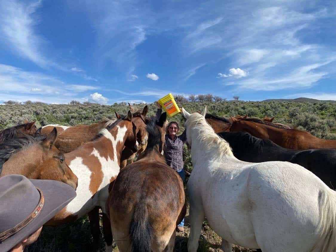 Premier Colorado Wilderness Lodge & Big Game Outfitter for Sale