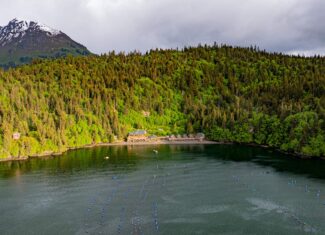 Off-Grid Alaska Lodge for Sale in Halibut Cove