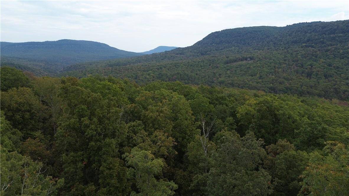 20 Acres Newton County Hunting Timberland For Sale Near Low Gap