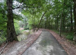 113± Acres for Sale in Osyka, MS on Tickfaw River