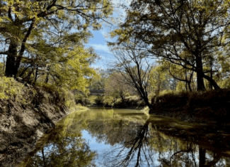158.8 Acres Creek Frontage Clay County MS