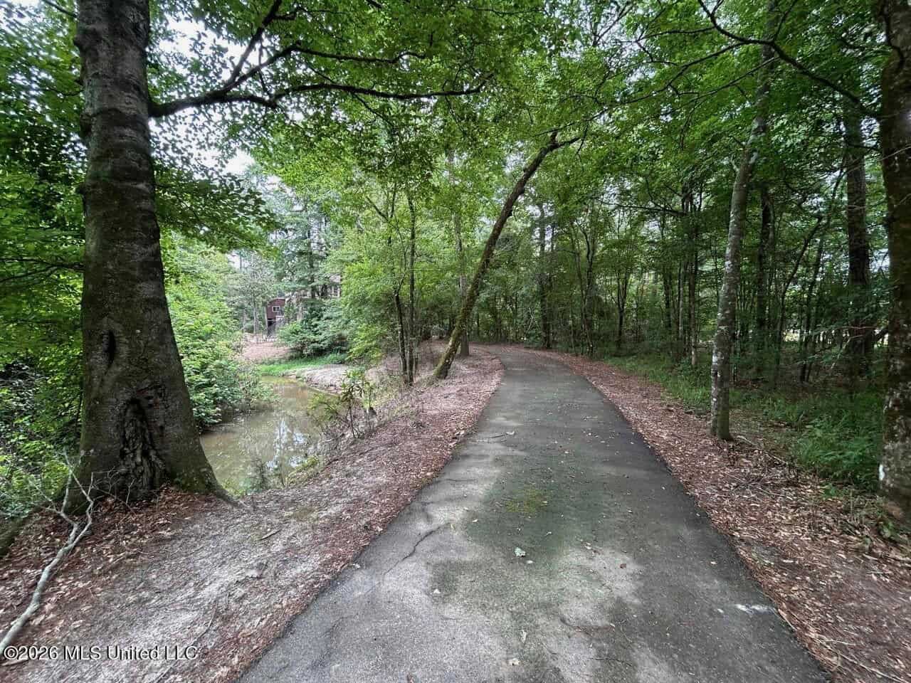 113± Acres for Sale in Osyka, MS on Tickfaw River