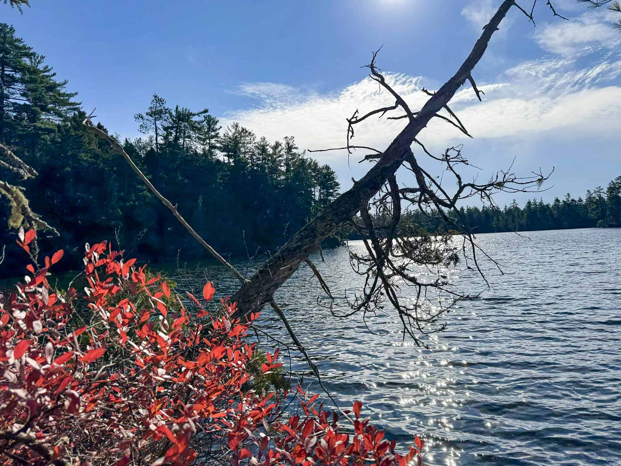 41 Acres with 1330 Ft on Long Lake – Northfield, ME