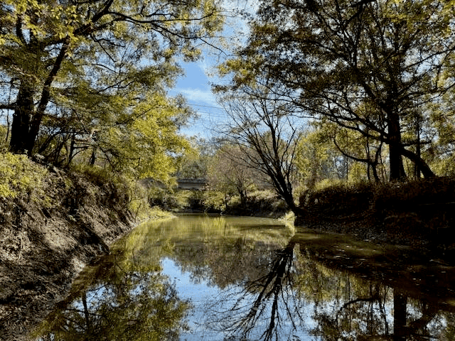 158.8 Acres Creek Frontage Clay County MS