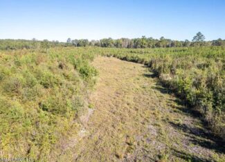 113 Acres of Hunting Land in Liberty, Mississippi