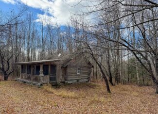 Peaceful Log Cabin Retreat with 128.8 Acres