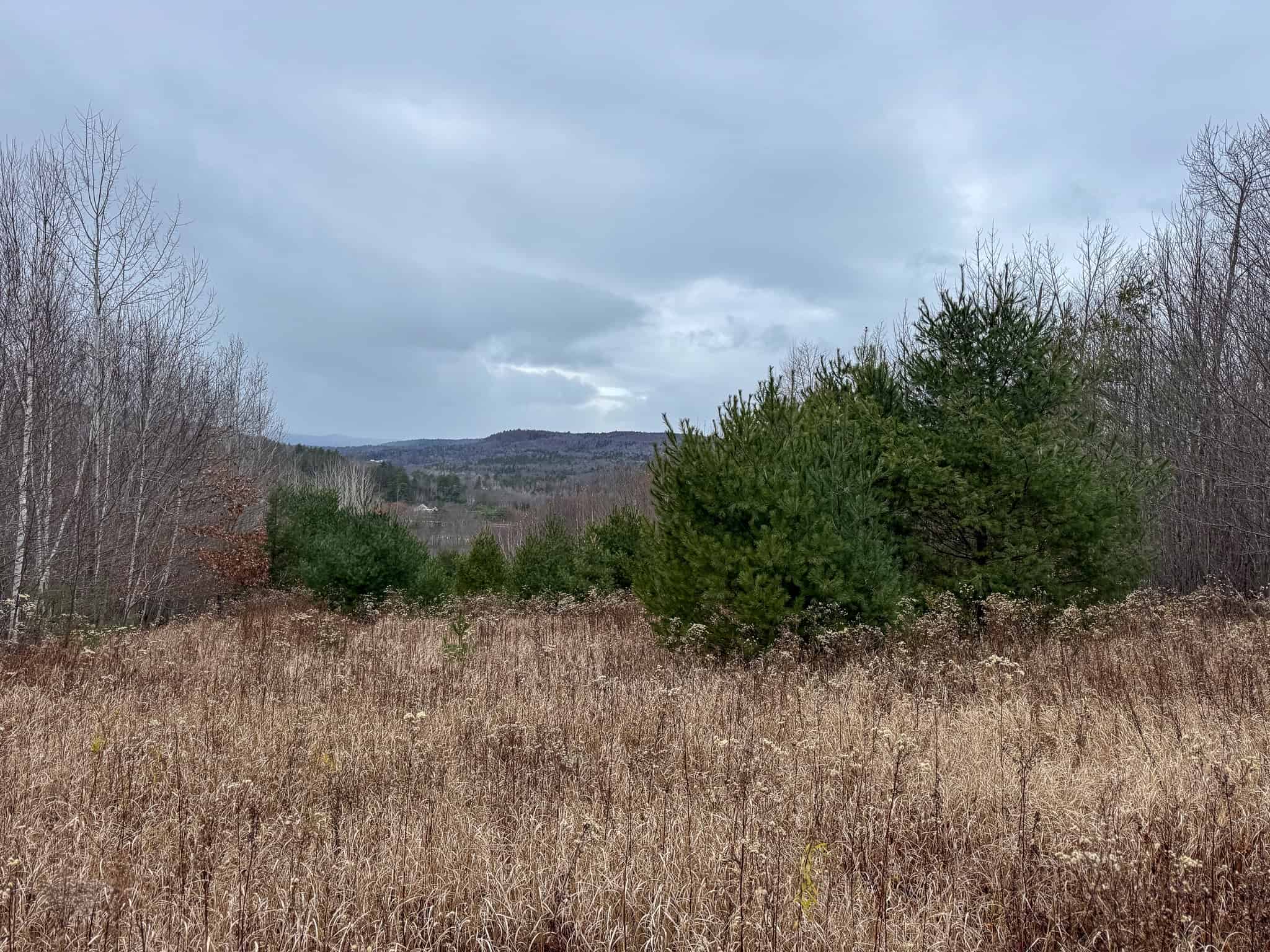 82 Acres with a Mountain View – Strong, Maine