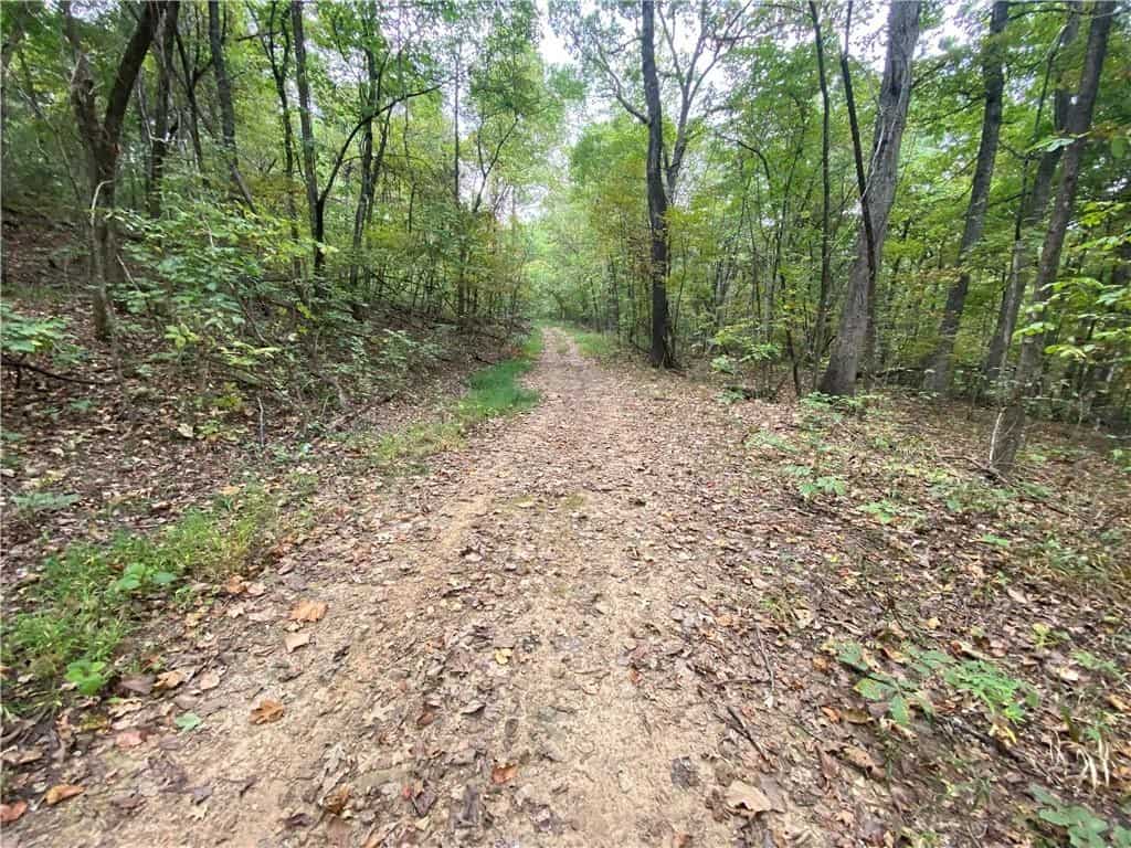 39.75 Newton County Hunting Land/Timber Property For Sale Low Gap