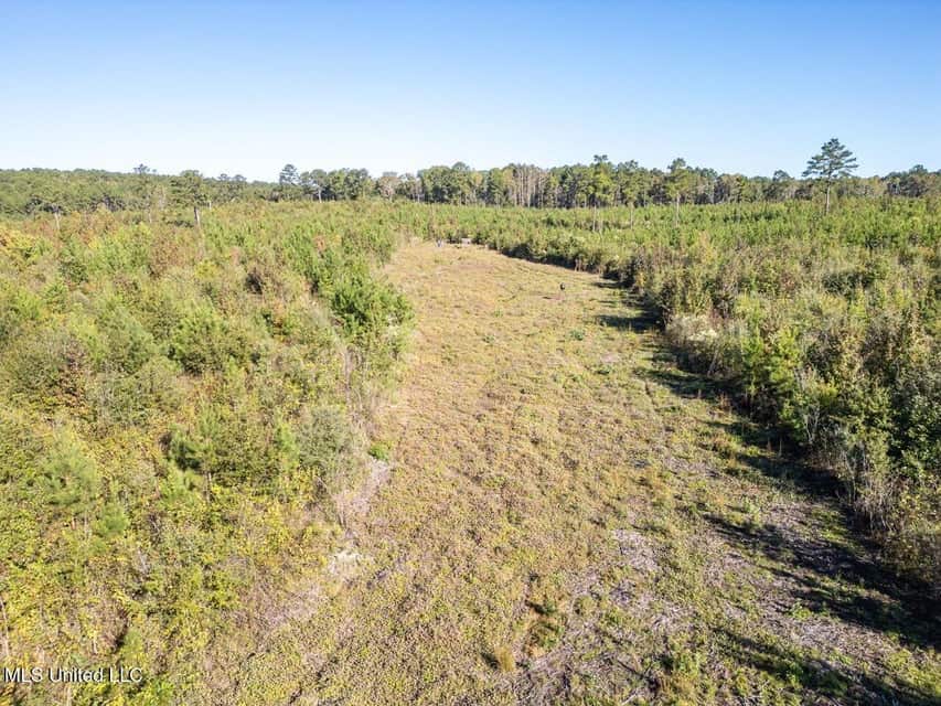 113 Acres of Hunting Land in Liberty, Mississippi