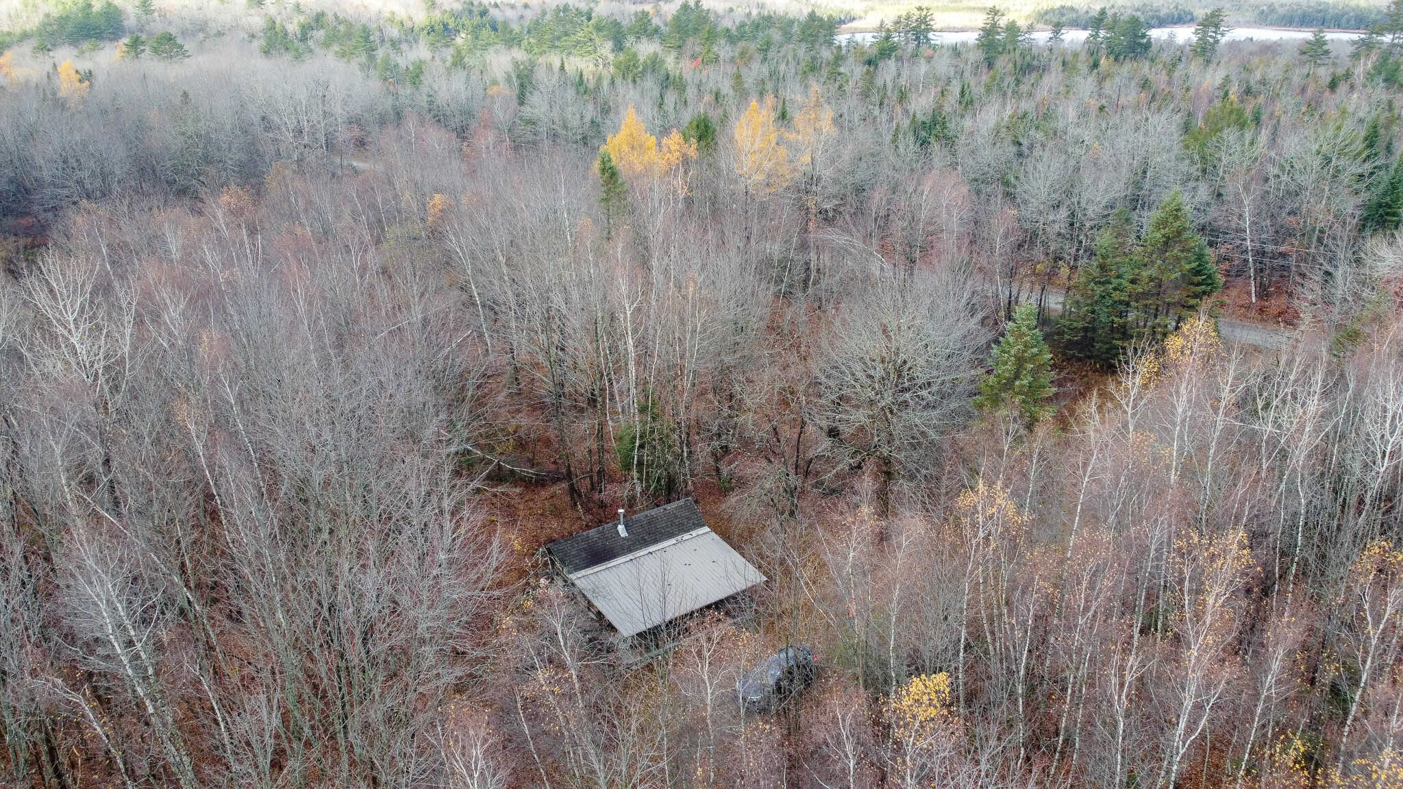 Peaceful Log Cabin Retreat with 128.8 Acres