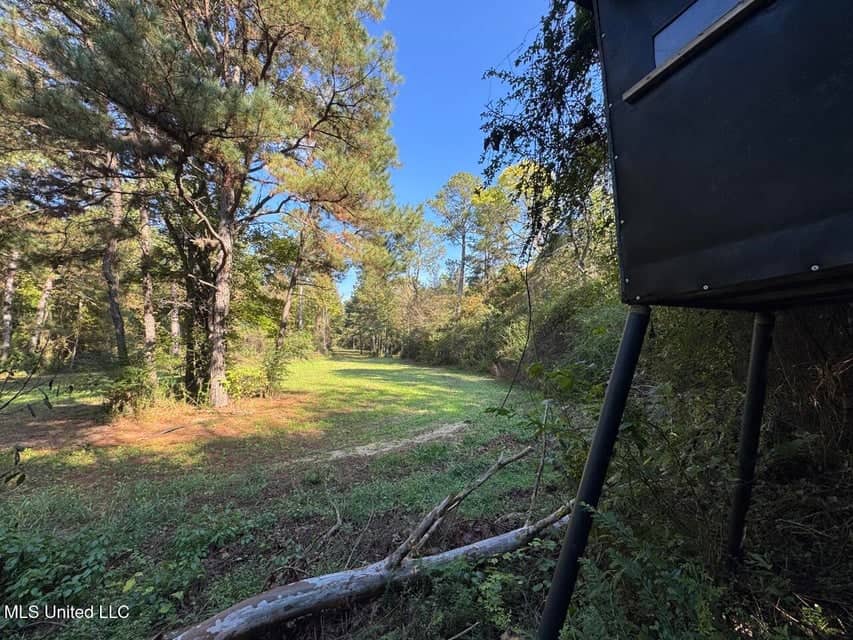 Hunting Land for Sale in Amite County, Mississippi