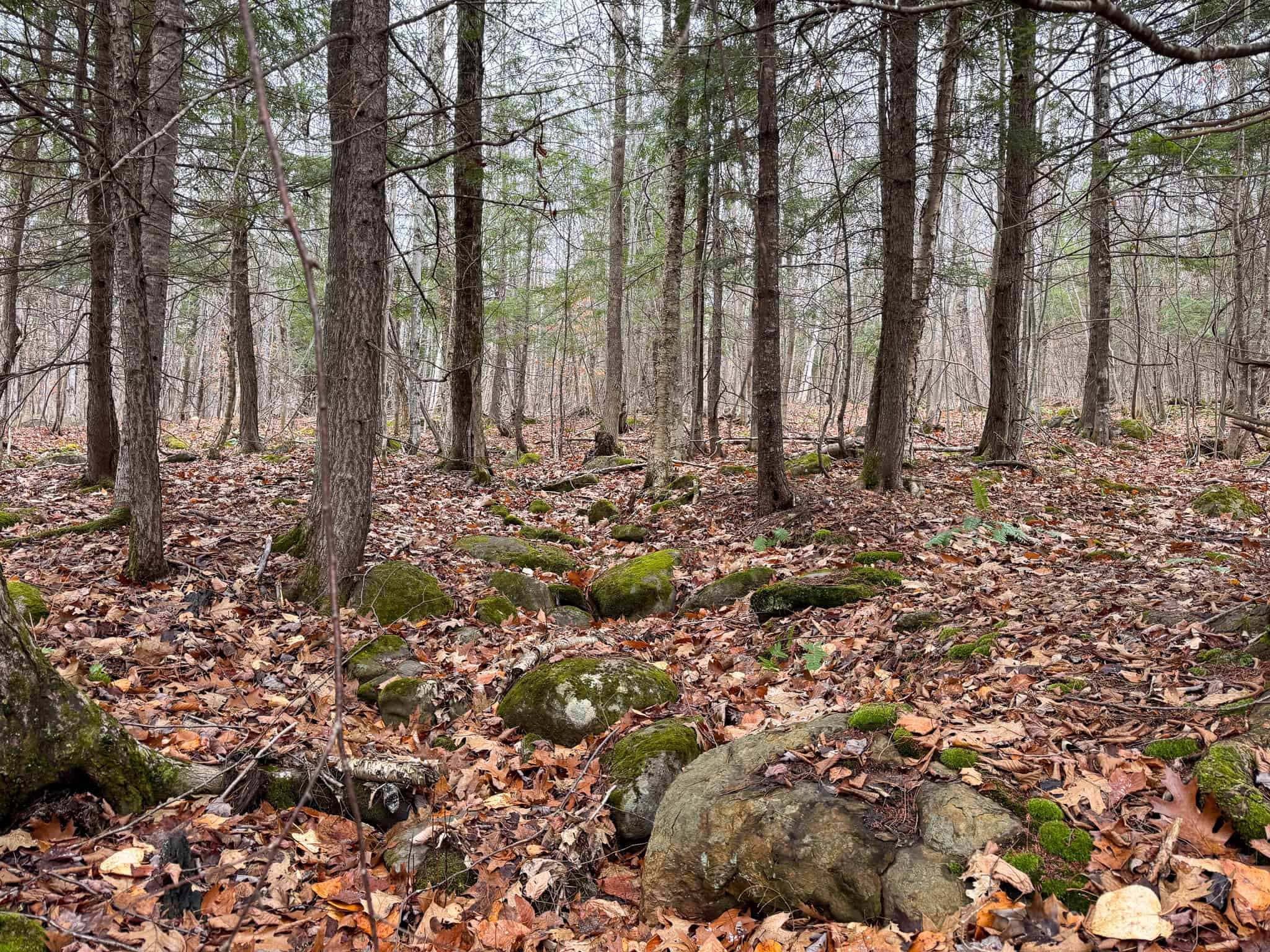 82 Acres with a Mountain View – Strong, Maine