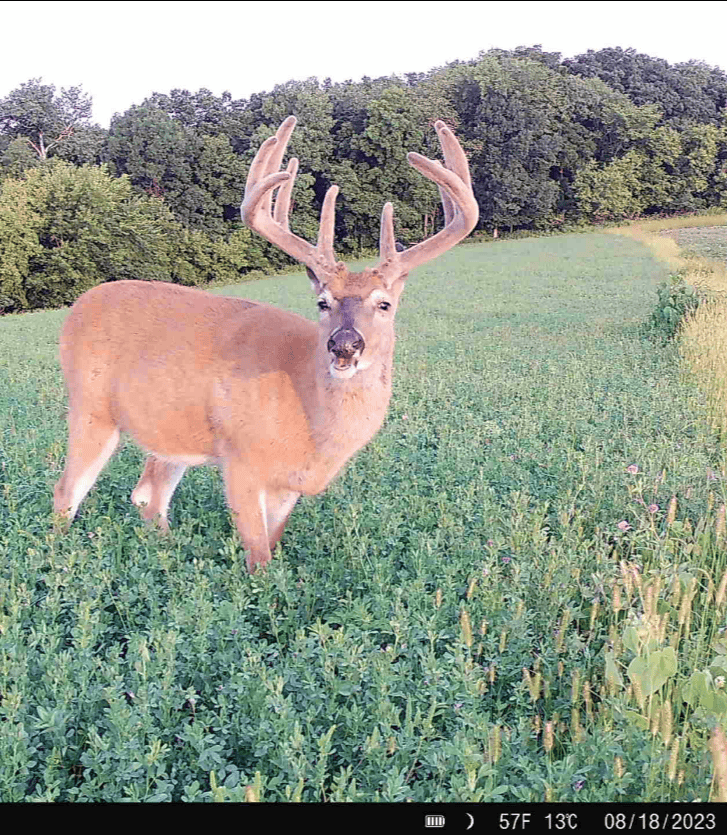 252± Acre Legacy Estate in Trempealeau County WI