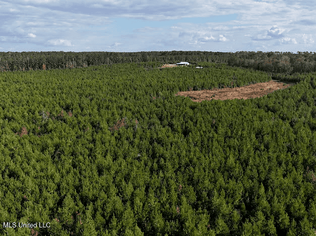 Country Home For Sale in Amite County, MS