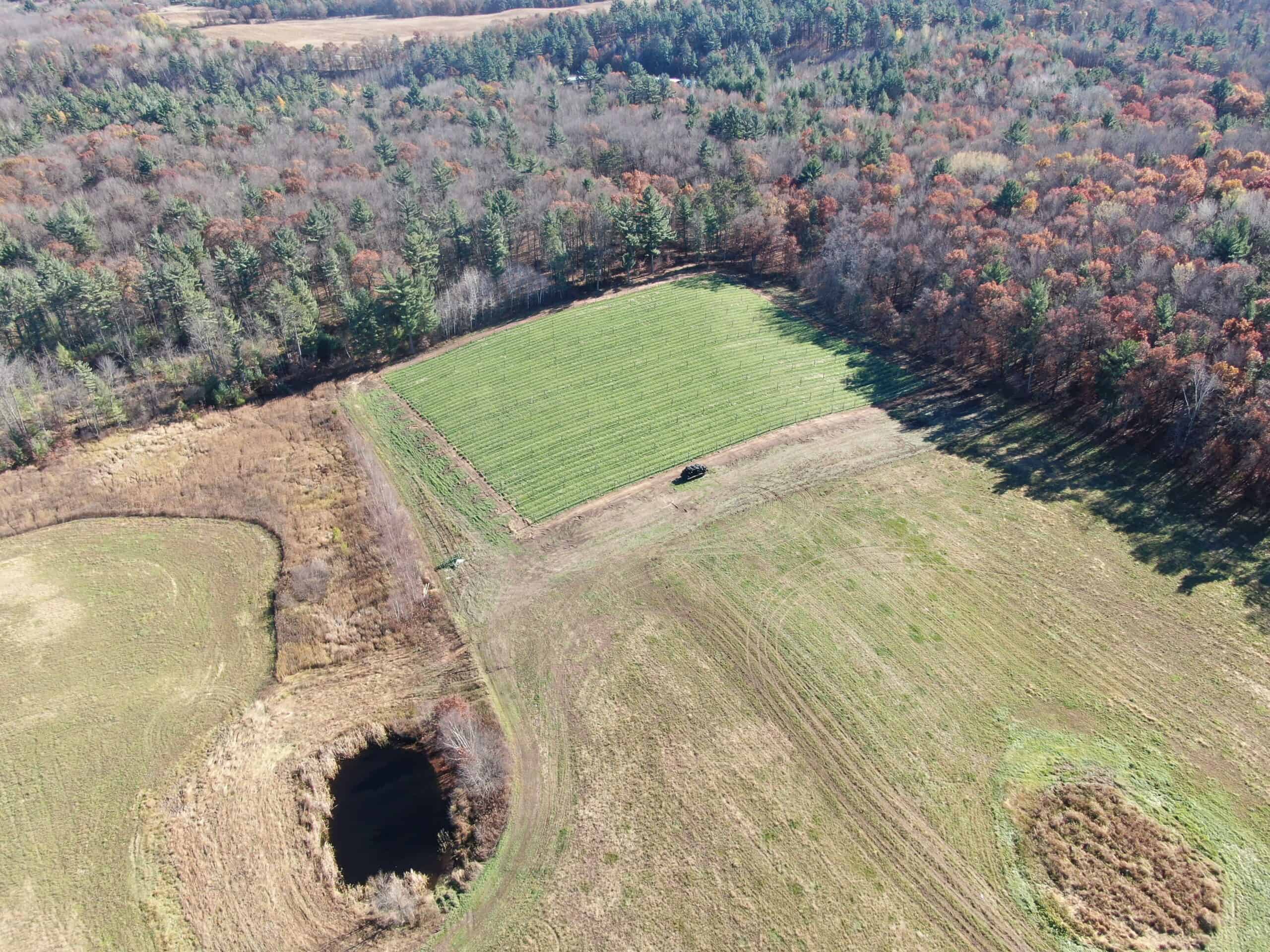 118± Acre Portage County WI Ag and Hunting Property