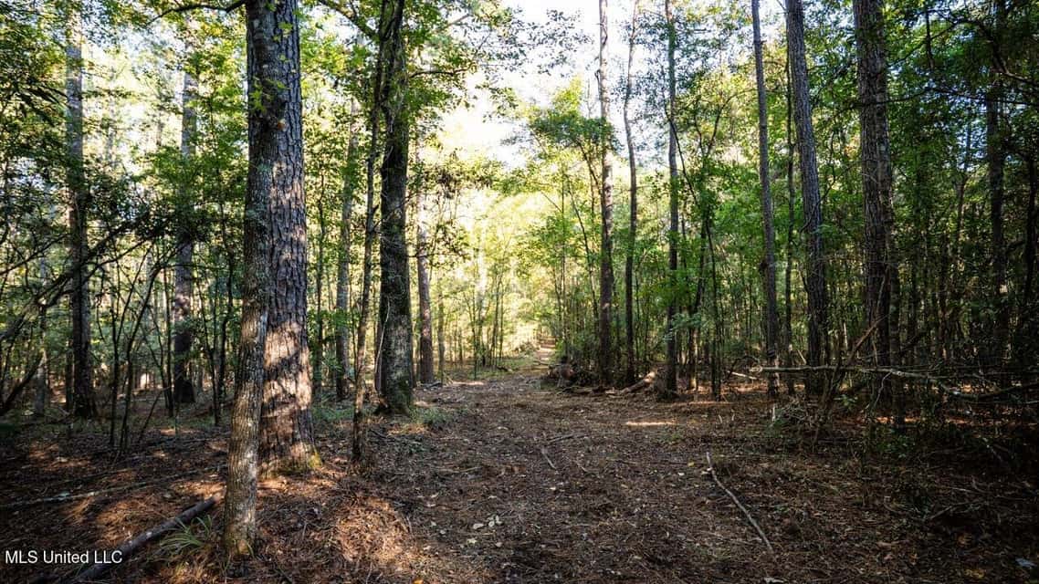 233-Acre Paradise on the Tickfaw River, Osyka, Amite County, MS