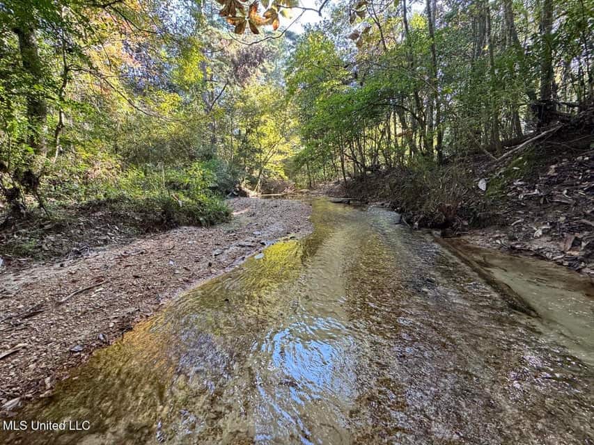 Hunting Land for Sale in Amite County, Mississippi