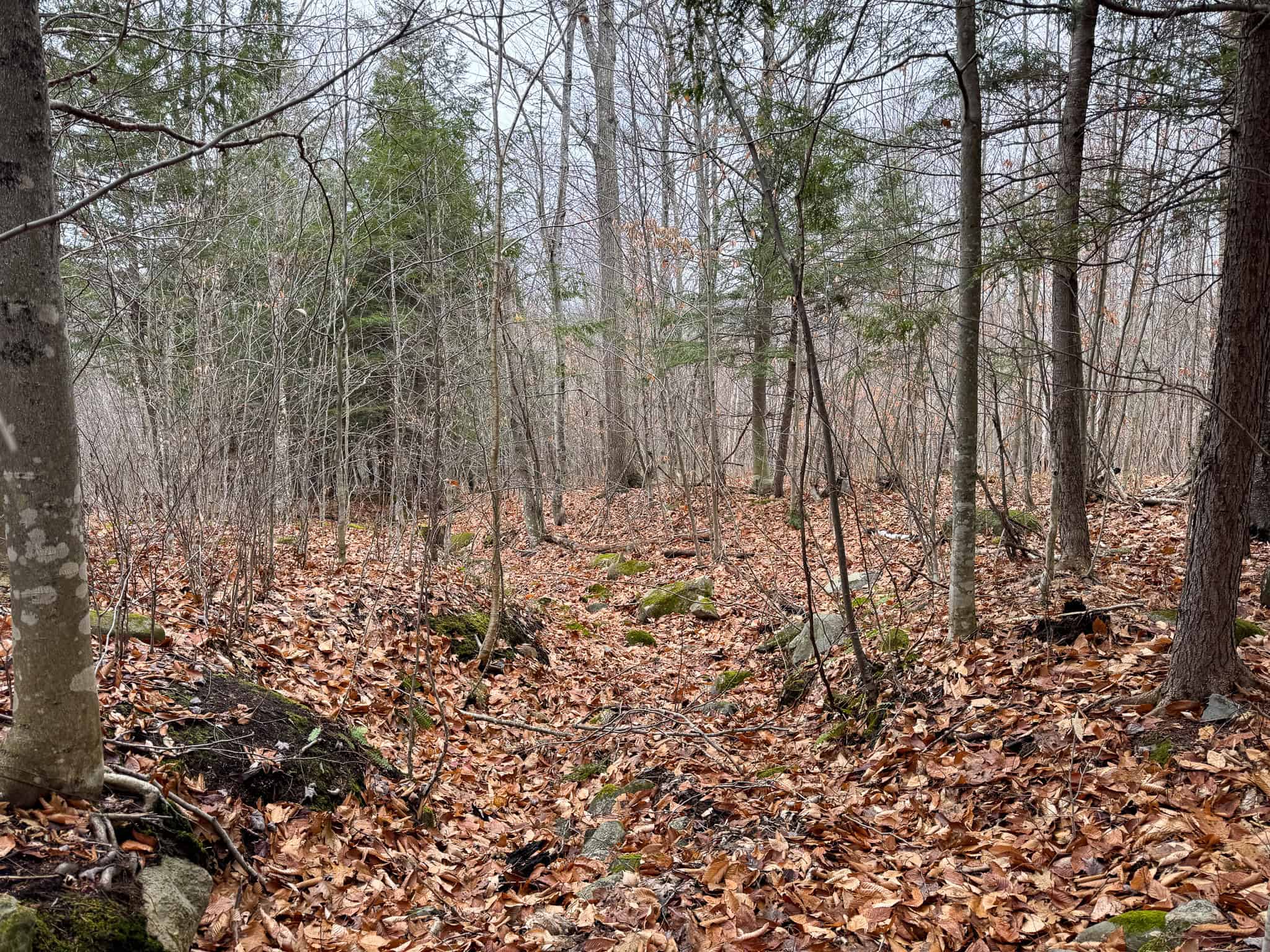 82 Acres with a Mountain View – Strong, Maine