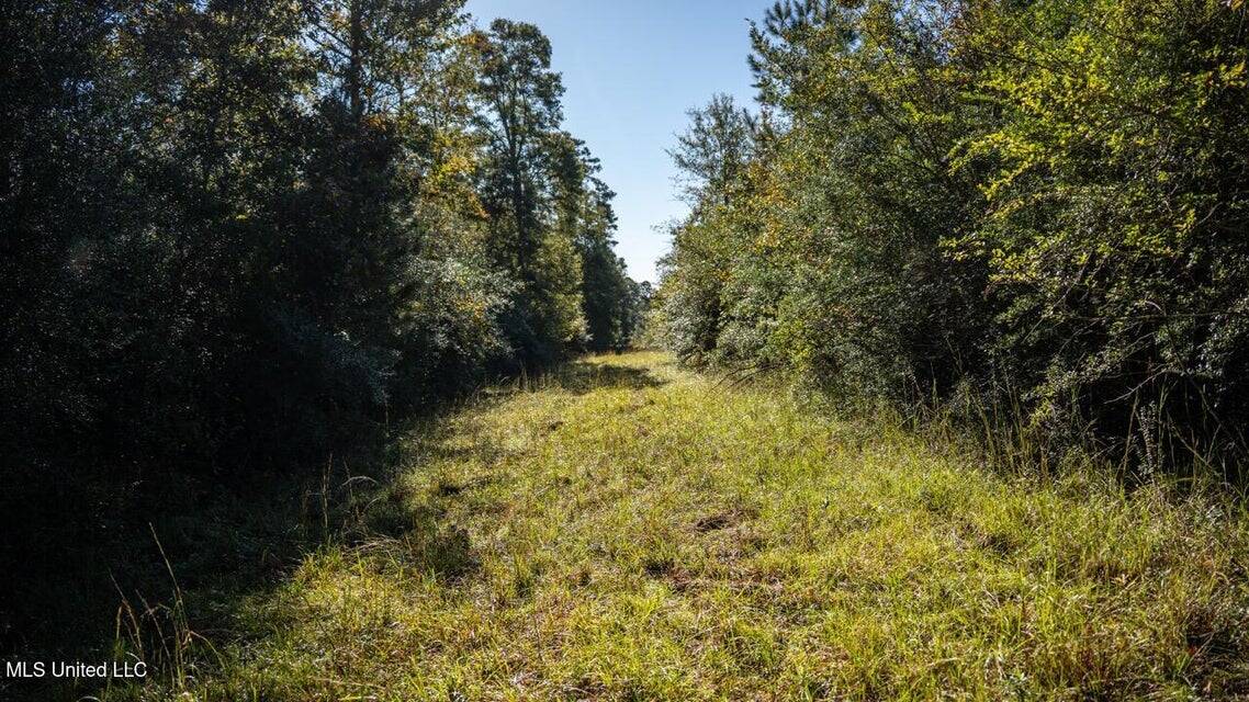 113 Acres of Hunting Land in Liberty, Mississippi