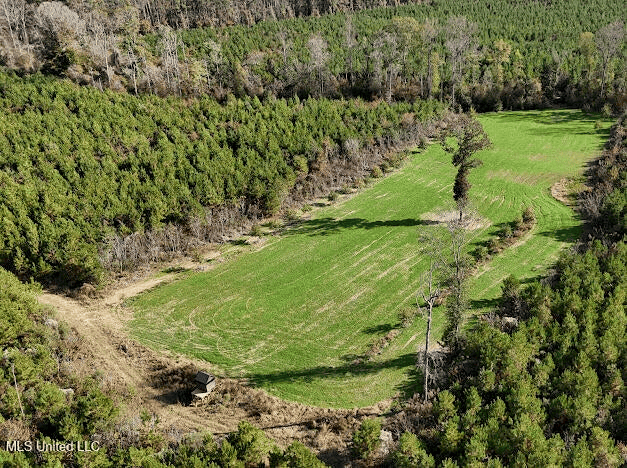 Country Home For Sale in Amite County, MS