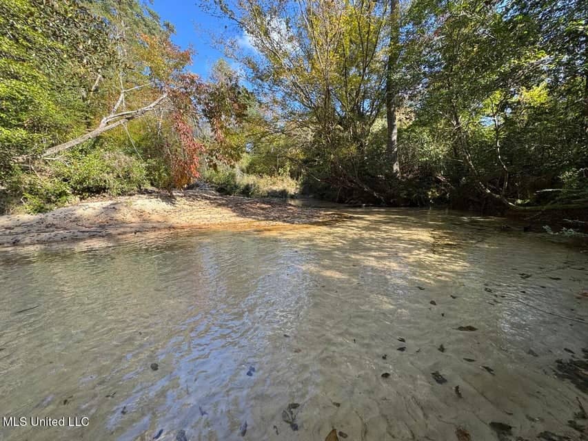 Hunting Land for Sale in Amite County, Mississippi