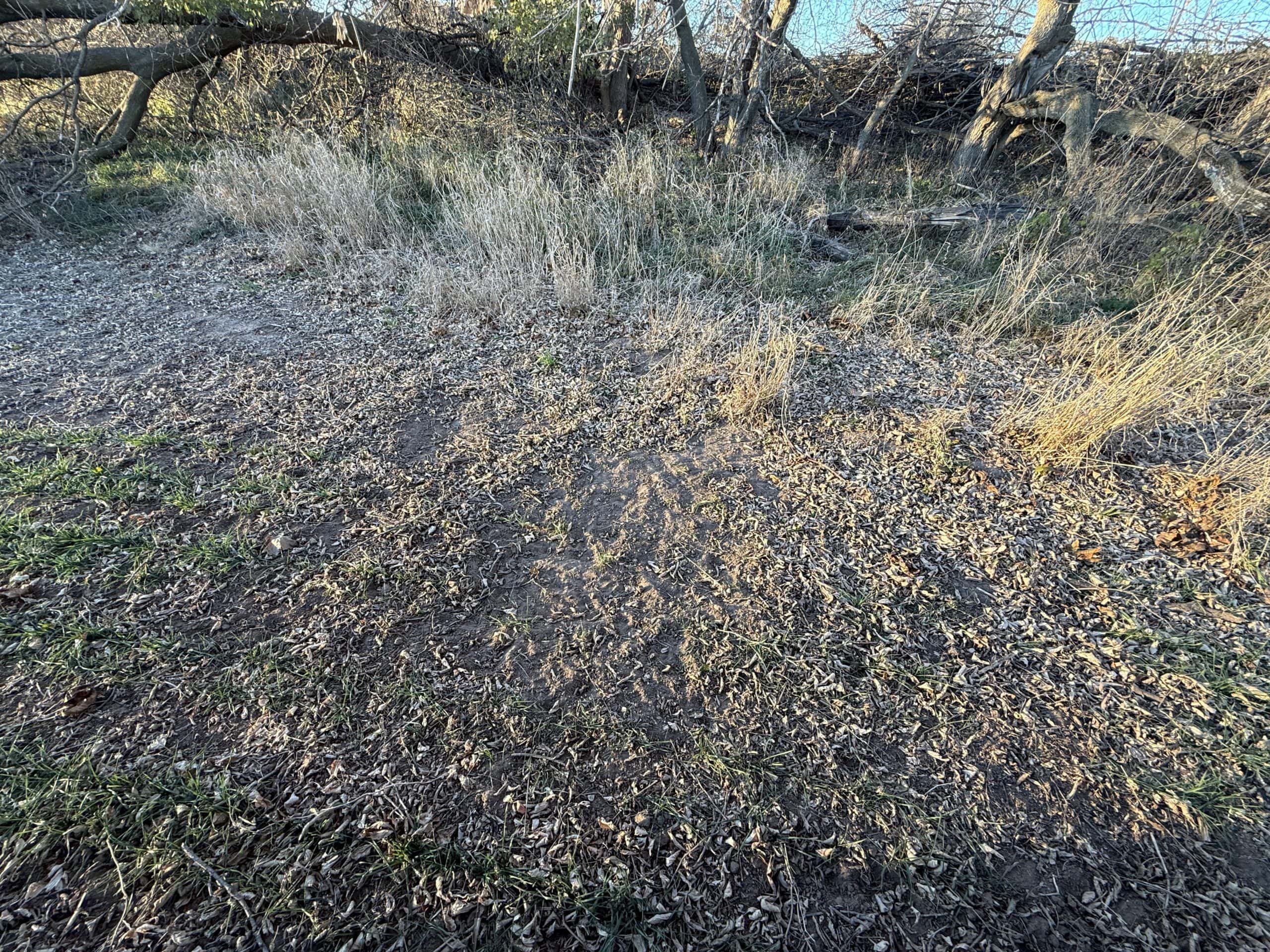 Truly Remarkable Parcel of Hunting Land Green Lake, WI