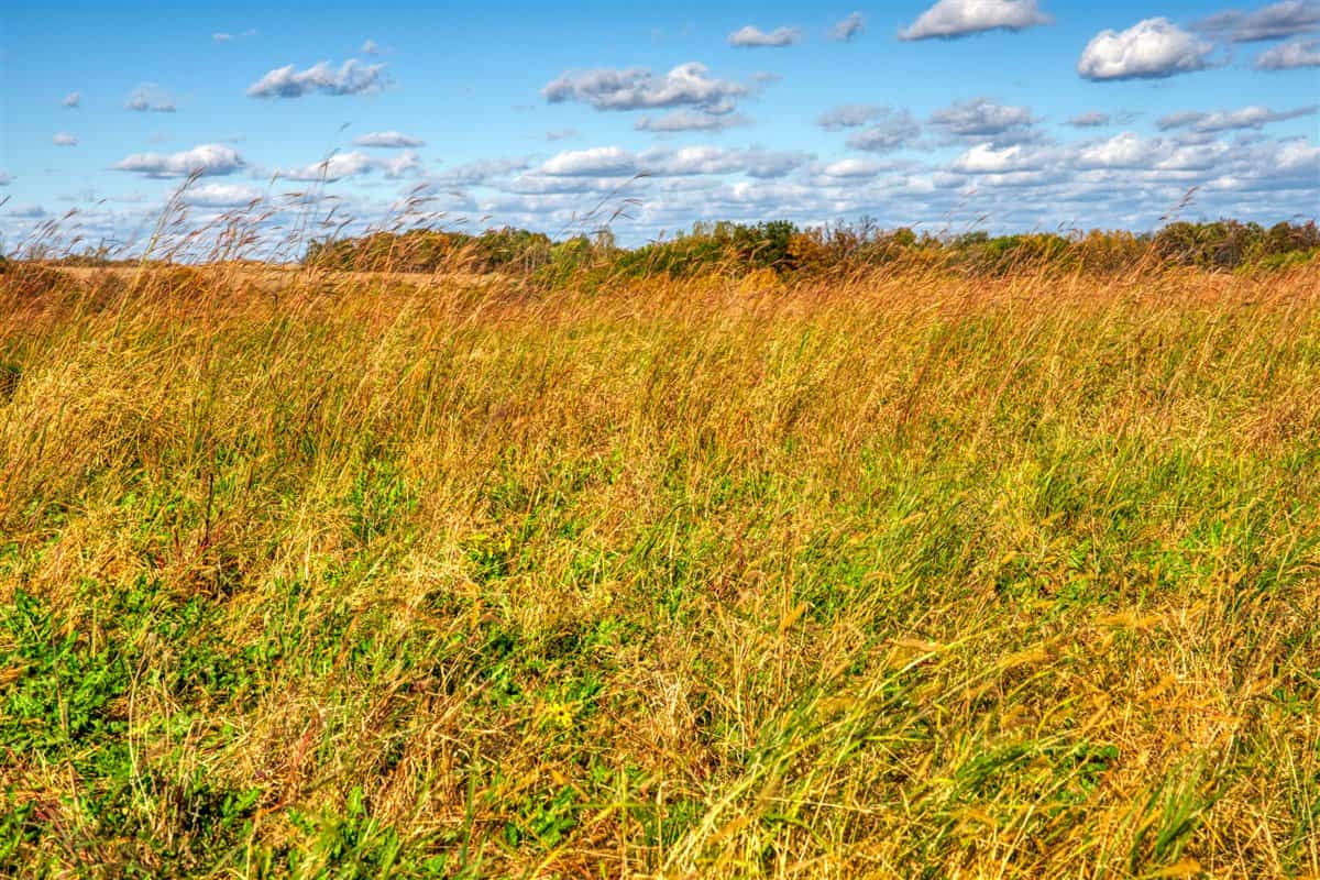 252± Acre Legacy Estate in Trempealeau County WI