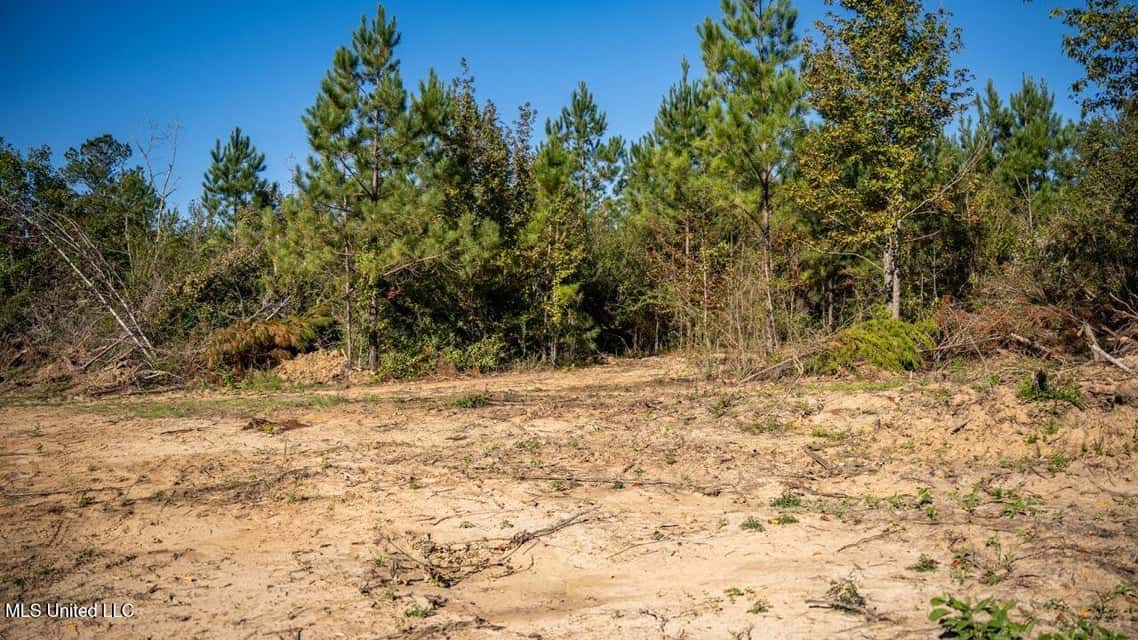 113 Acres of Hunting Land in Liberty, Mississippi