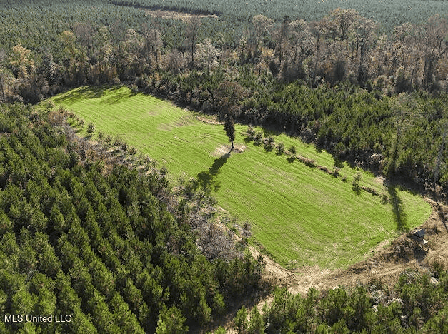 Country Home For Sale in Amite County, MS