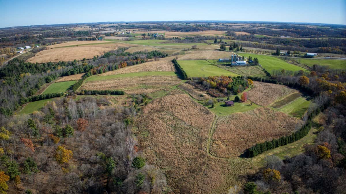 Windy Ridge – Conservation Homestead – 187 ± Acres in Monroe County’s Driftless Area of Wisconsin