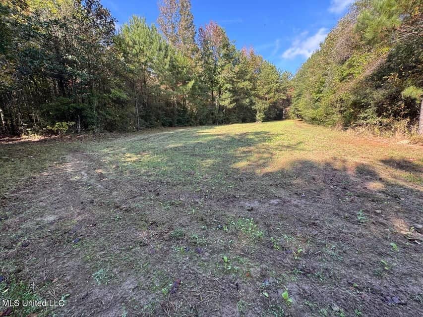 Hunting Land for Sale in Amite County, Mississippi