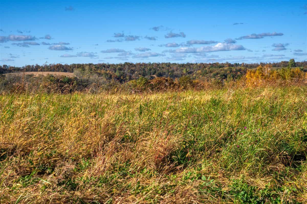 252± Acre Legacy Estate in Trempealeau County WI