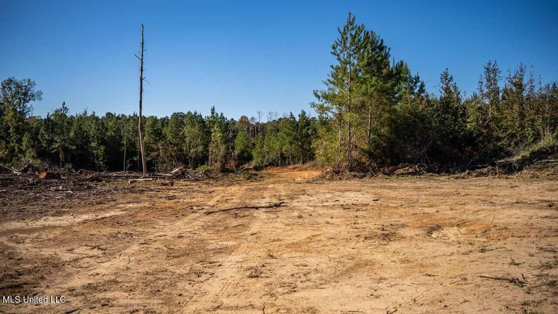 113 Acres of Hunting Land in Liberty, Mississippi