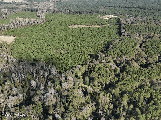 Country Home For Sale in Amite County, MS