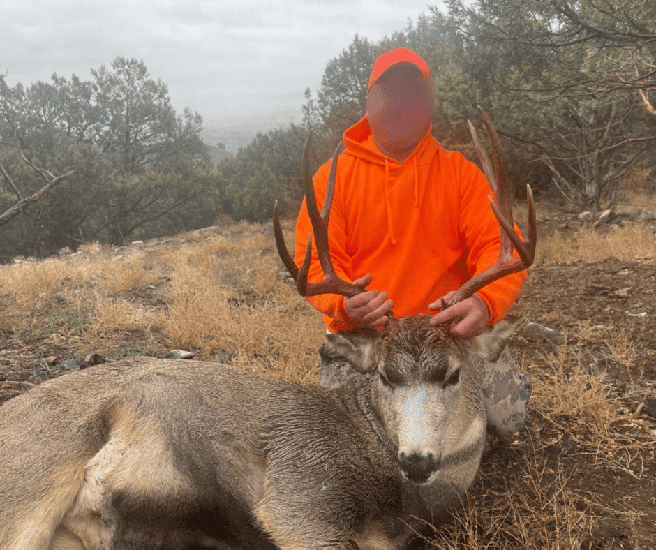 500 Acres Adjacent to BLM – A Secluded Western Colorado Mountain Estate with Water, Views, Wildlife & Unmatched Privacy