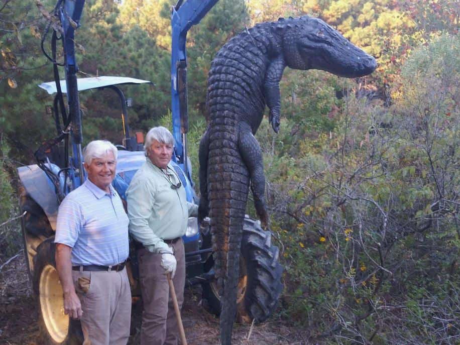 Premier Turnkey Duck & Deer Property With First Class Lodge