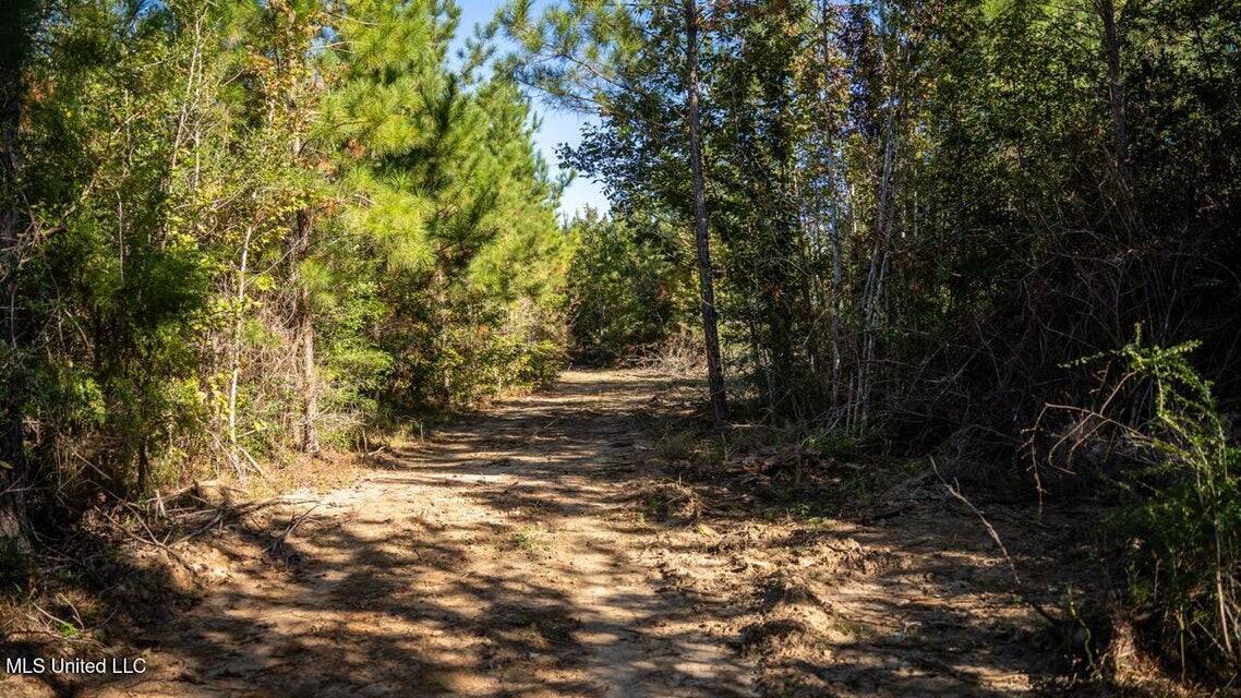 113 Acres of Hunting Land in Liberty, Mississippi