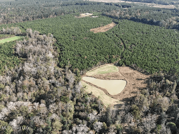 Country Home For Sale in Amite County, MS