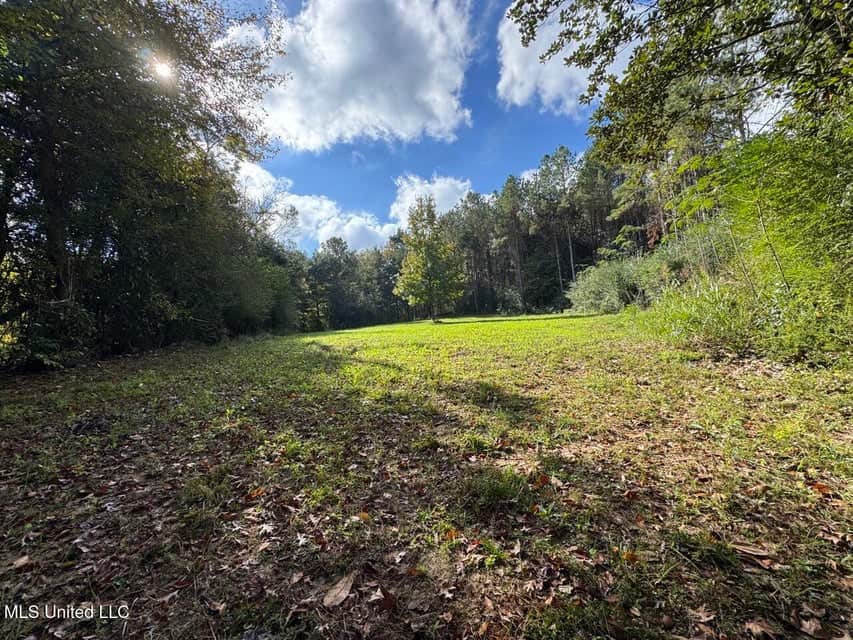 Hunting Land for Sale in Amite County, Mississippi