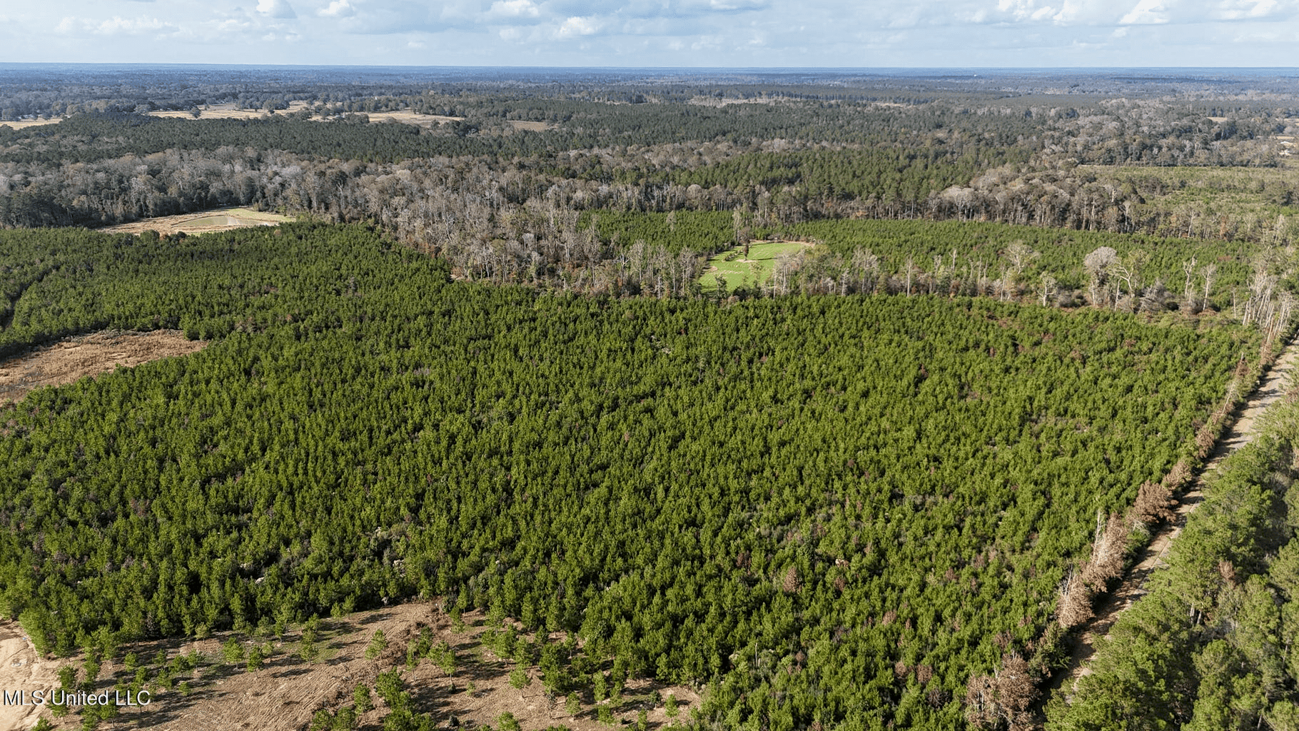 Country Home For Sale in Amite County, MS