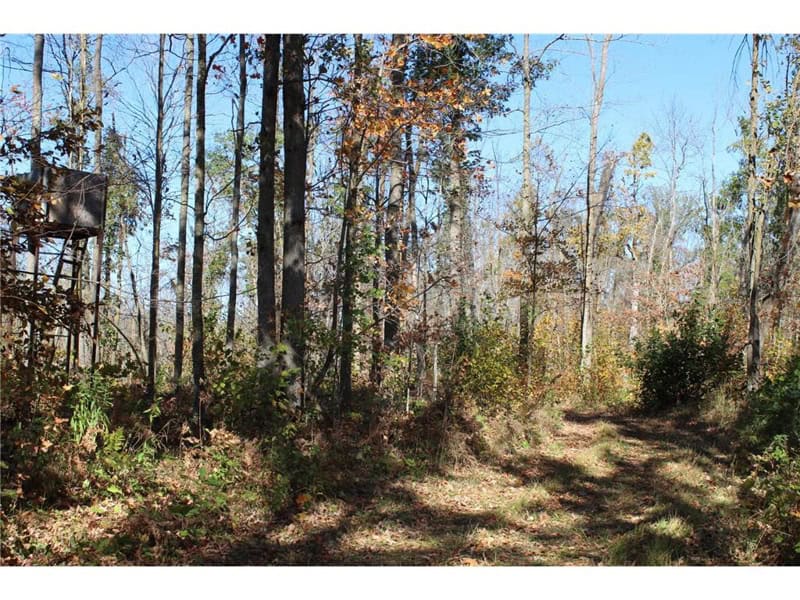 Northwoods Paradise w/ Trails & Ponds For Sale in Isle, MN