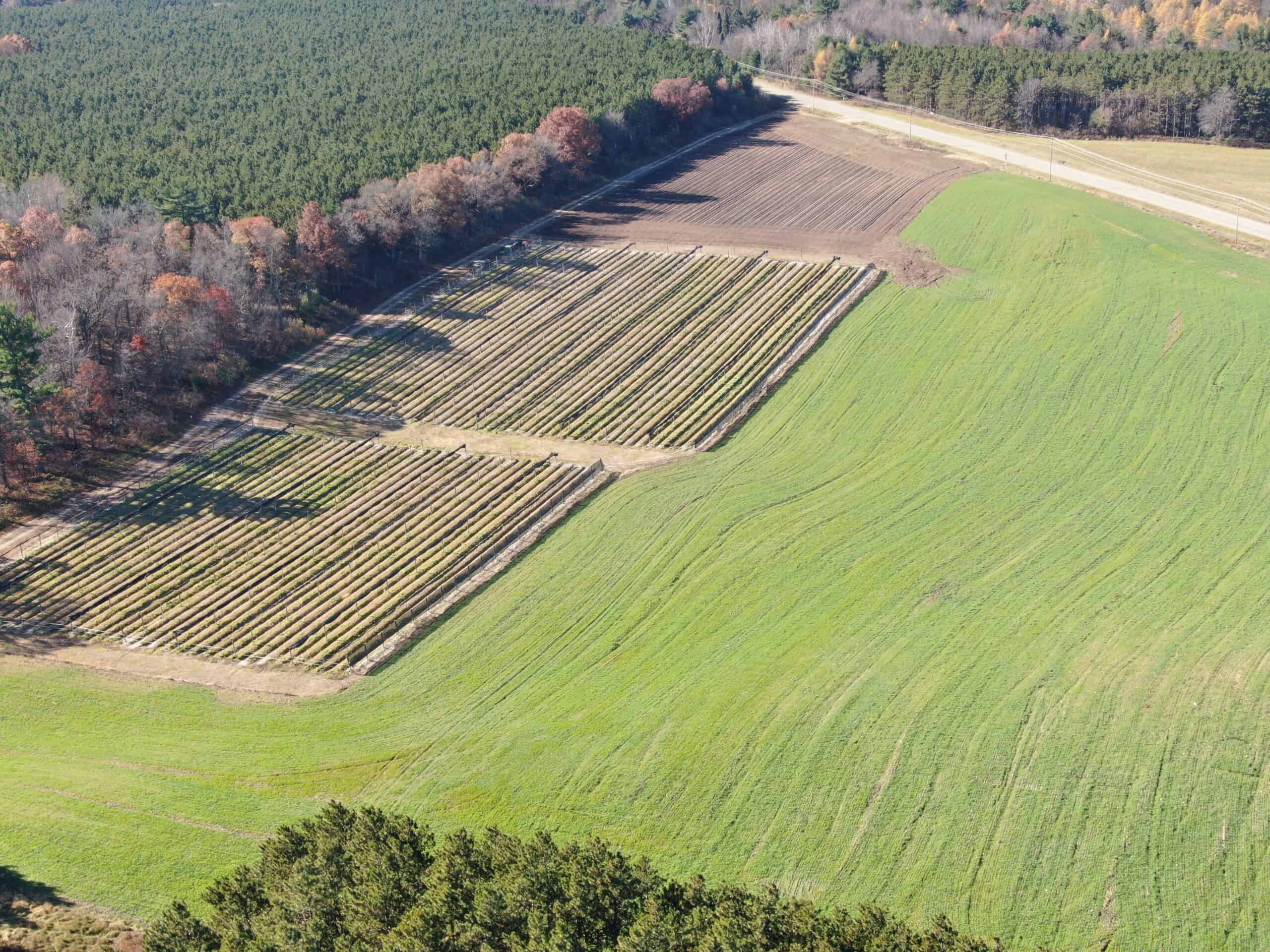 118± Acre Portage County WI Ag and Hunting Property