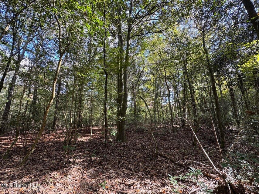Hunting Land for Sale in Amite County, Mississippi
