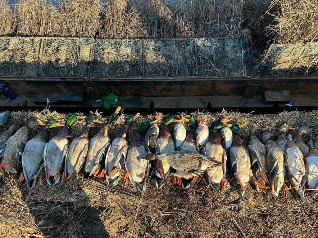 Premier Turnkey Duck & Deer Property With First Class Lodge