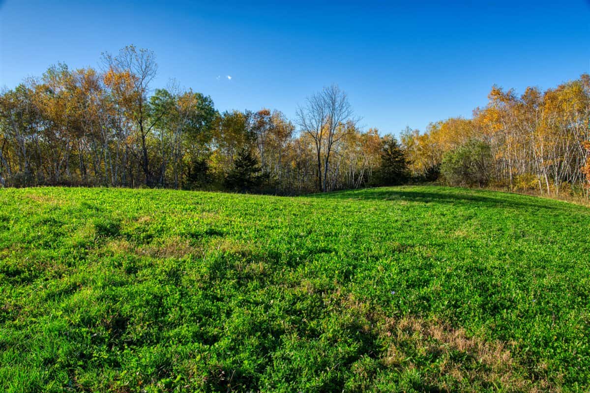 252± Acre Legacy Estate in Trempealeau County WI